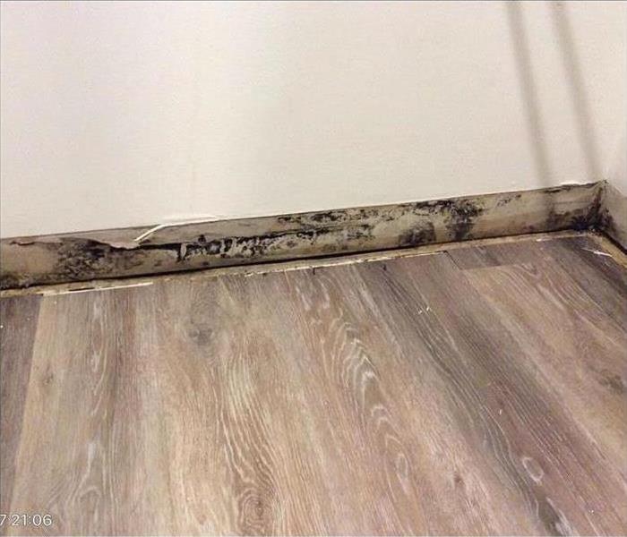 Mold growth found behind baseboards
