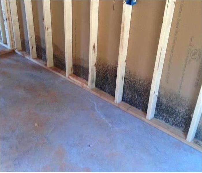 Mold found inside drywall.